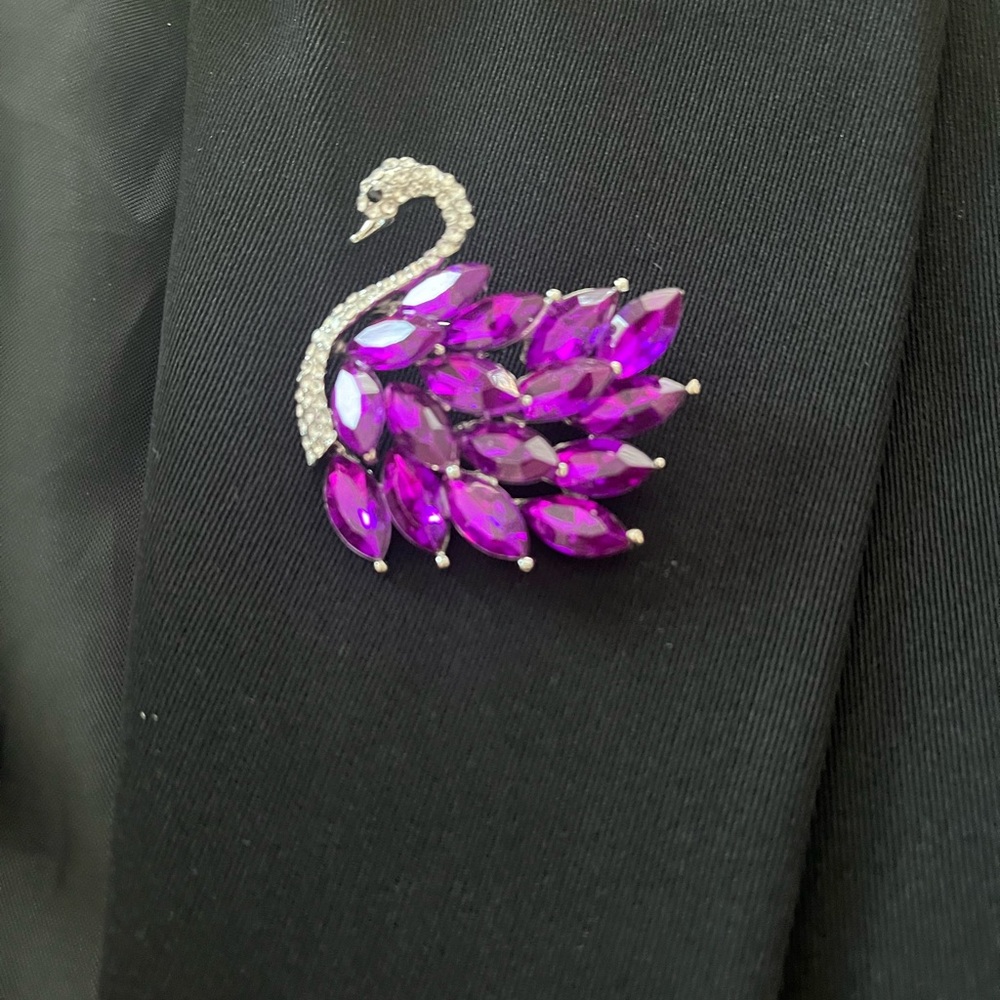 Fashion Trend 2024-2025.   Swan Brooch